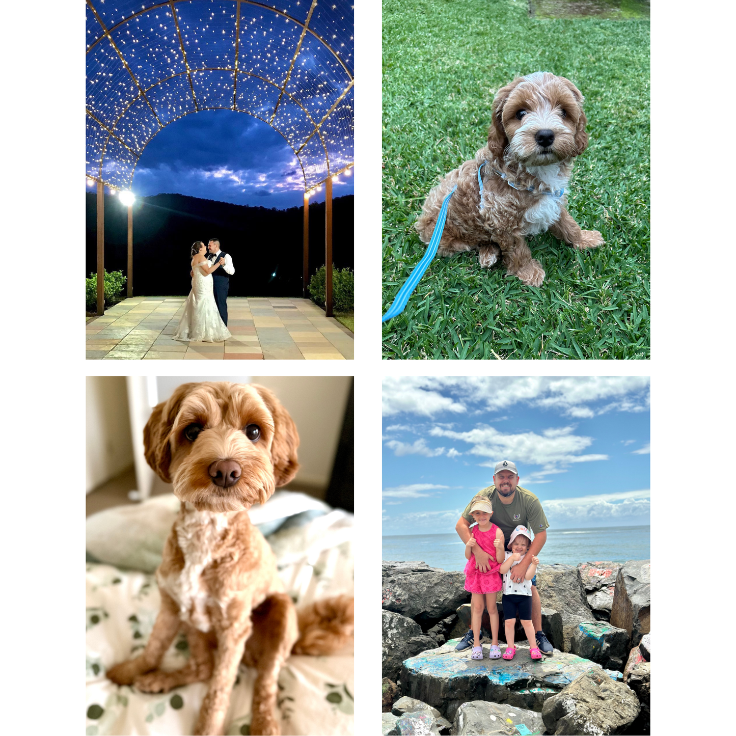 *** COMING SOON *** Rectangle Custom Photo Magnets | sets of 4-12 | 65mm x 90mm