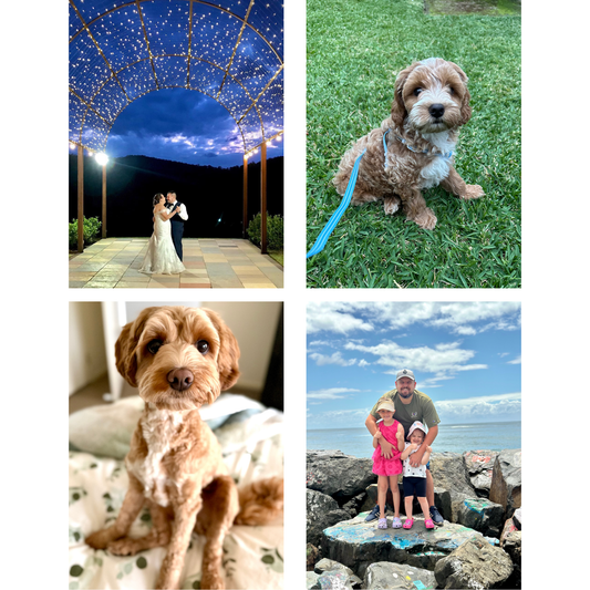 *** COMING SOON *** Rectangle Custom Photo Magnets | sets of 4-12 | 65mm x 90mm